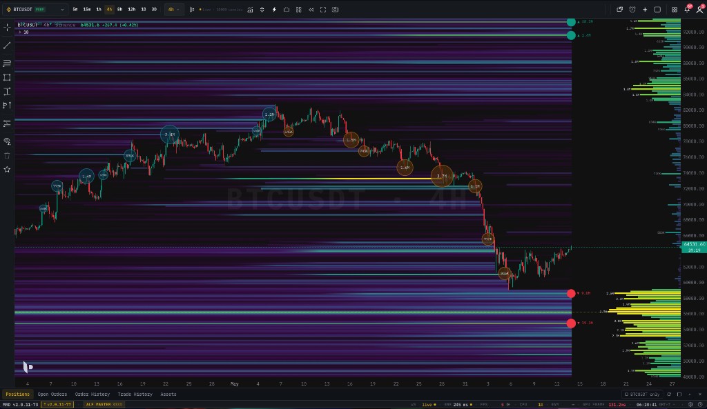 Liquidation heatmap with leveraged position clusters and large trade bubbles overlaid on the BTCUSDT chart
