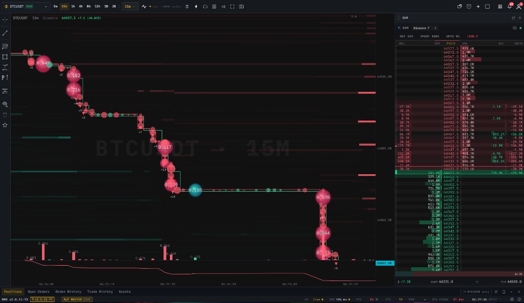 Tick heatmap with size-scaled aggressive trade bubbles over a liquidity heatmap and DOM ladder on BTCUSDT